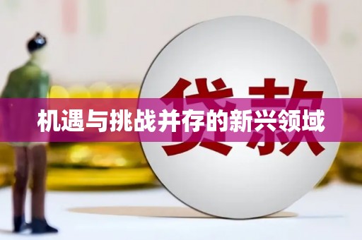 阜阳机遇与挑战并存的新兴领域