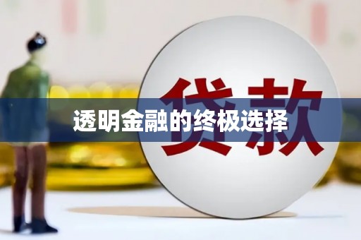 阜阳透明金融的终极选择