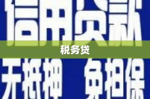 阜阳税务贷