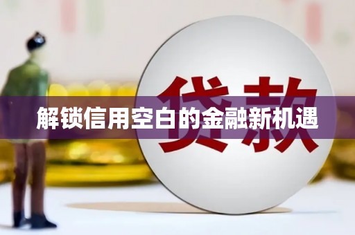阜阳解锁信用空白的金融新机遇
