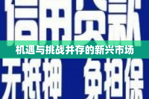 阜阳机遇与挑战并存的新兴市场