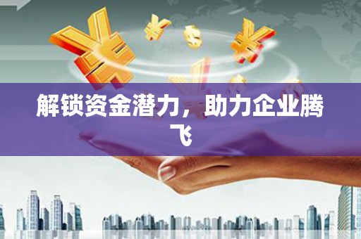 阜阳解锁资金潜力，助力企业腾飞