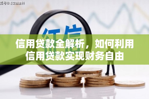 阜阳信用贷款全解析，如何利用信用贷款实现财务自由