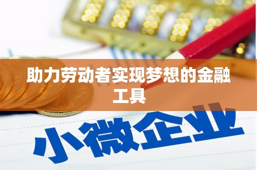 阜阳助力劳动者实现梦想的金融工具