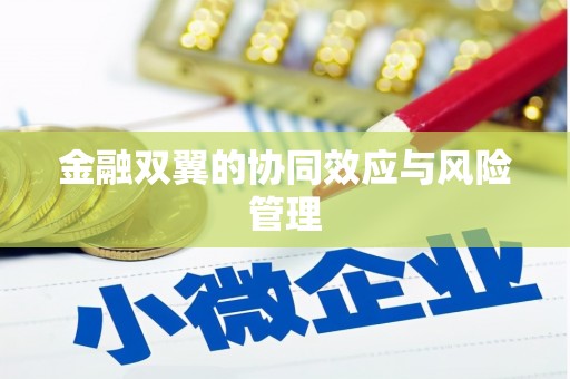 阜阳金融双翼的协同效应与风险管理