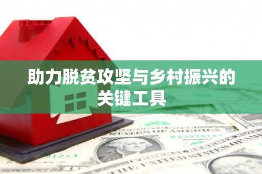 阜阳助力脱贫攻坚与乡村振兴的关键工具
