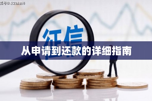 阜阳从申请到还款的详细指南