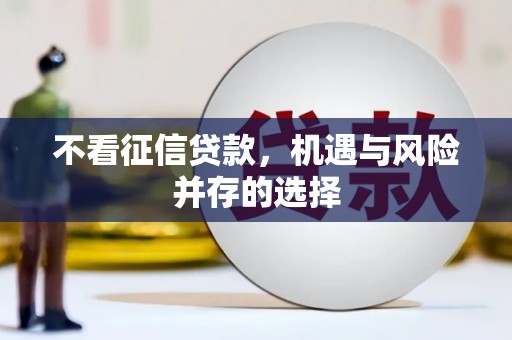 阜阳不看征信贷款，机遇与风险并存的选择