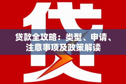 阜阳贷款全攻略：类型、申请、注意事项及政策解读