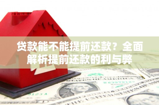 阜阳贷款能不能提前还款？全面解析提前还款的利与弊