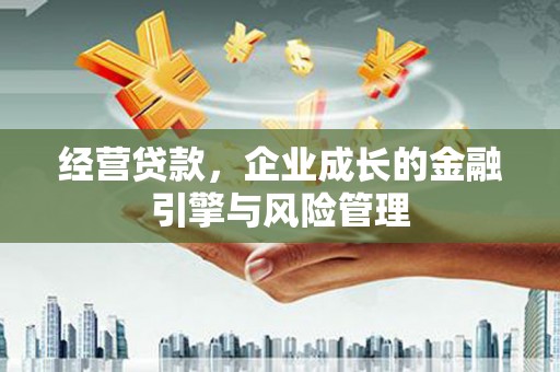 阜阳经营贷款，企业成长的金融引擎与风险管理
