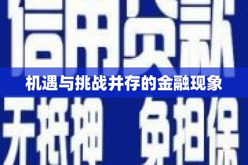 阜阳机遇与挑战并存的金融现象