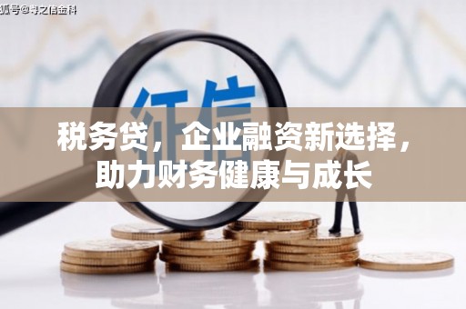 阜阳税务贷，企业融资新选择，助力财务健康与成长